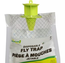 Fly Trap- Disposable