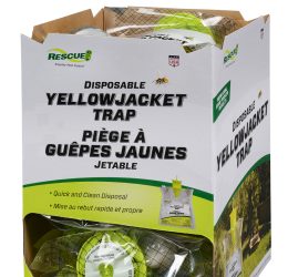 Yellowjacket Trap- Disposable Case of 12