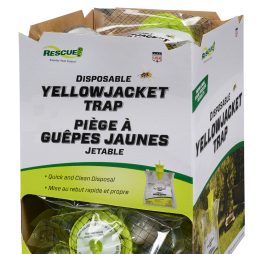 Yellowjacket Trap- Disposable Case of 12