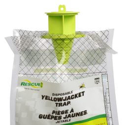 Yellowjacket Trap – Disposable Twin Pack
