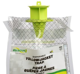 Yellowjacket Trap – Disposable Twin Pack