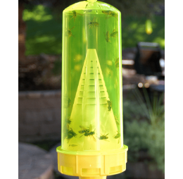 Reusable Yellowjacket Trap Box of 4