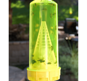 Reusable Yellowjacket Trap Box of 4
