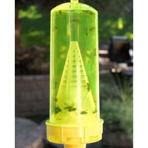Reusable Yellowjacket Trap Box of 4
