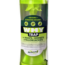WHY Trap – Wasps, Hornets and Yellowjackets Box of 4