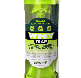 WHY Trap – Wasps, Hornets and Yellowjackets Box of 4
