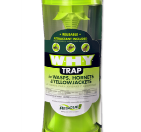 WHY Trap – Wasps, Hornets and Yellowjackets Box of 4