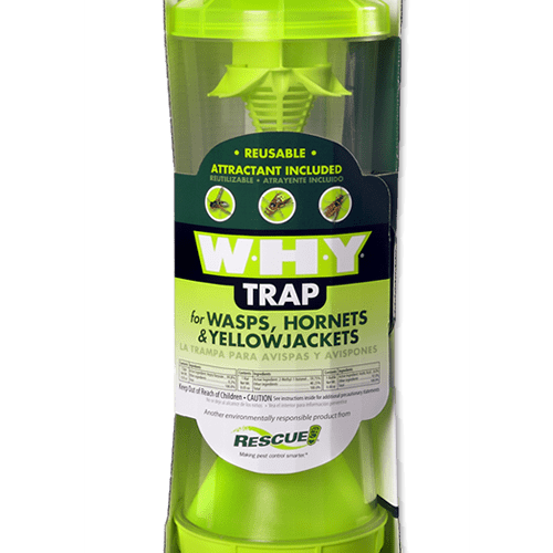 WHY Trap – Wasps, Hornets and Yellowjackets Box of 4