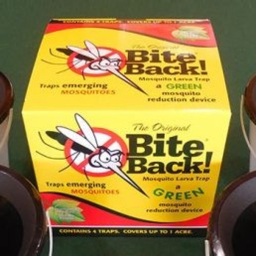 Bite Back Mosquito Larvae Trap